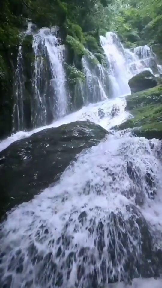 拯救者